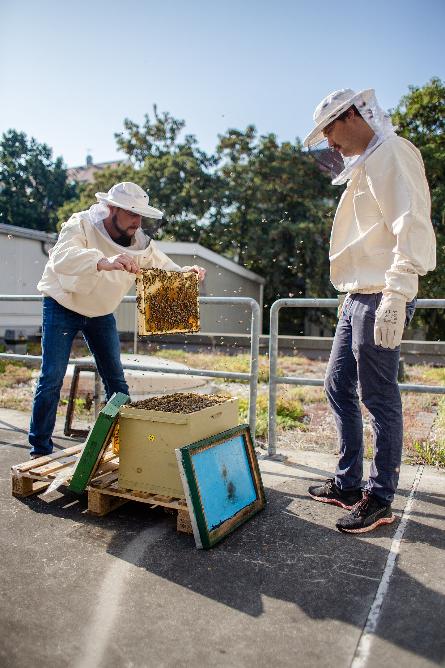 Maschinenbaustudent Philipp Sieber (li.) und Simon Hauser auf dem Dach des Föppl-Baus. zwei Imker auf Dach bei den Bienen