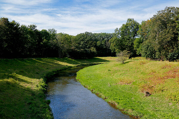 Die Nahle im Leipziger Auwald